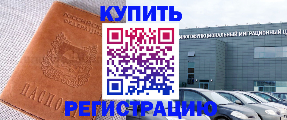 прописка законно в Коле